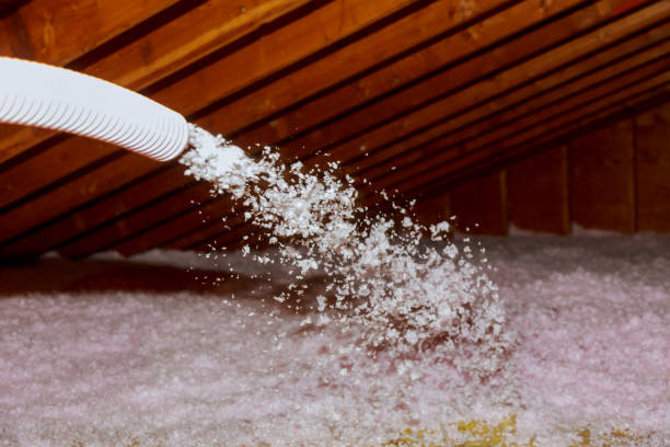 Best Insulation Maintenance and Repair in East Oakdale, CA